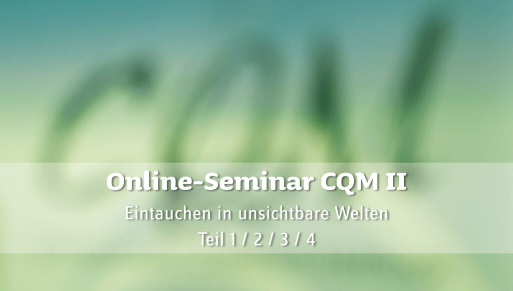 CQM II OnlineSeminar 25.02.2022 CQM Online Academy